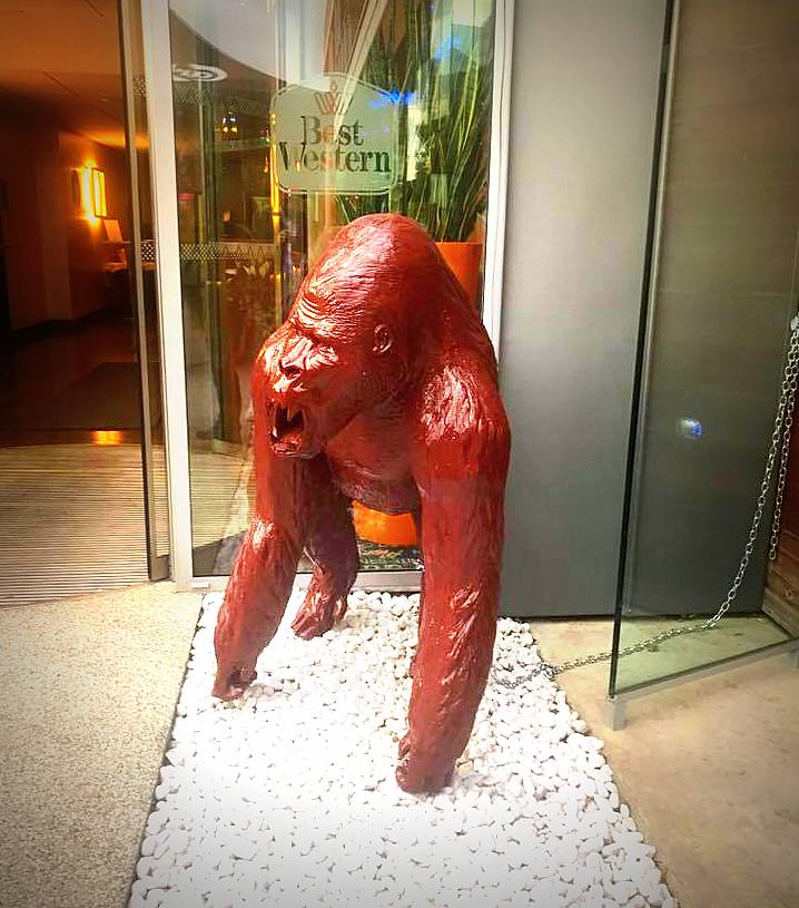 Fiberglass Gorilla Large Handmade Statue - Single Color 2 A red gorilla statue at the entrance of a Best Western hotel, standing on a bed of white stones.