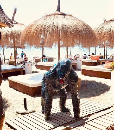 Fiberglass Gorilla Large Handmade Statue - Single Color 3 A lifelike gorilla statue in a beach resort with straw parasols and sunbeds in the background.