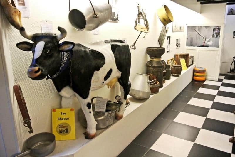 Calf 3 Wnętrze muzeum mleczarstwa z figurą krowy i starymi naczyniami mleczarskimi wystawionymi na półkach.