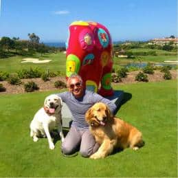 Elephant Parade 4 Mężczyzna klęczący na trawie z dwoma psami, w tle kolorowa rzeźba słonia.