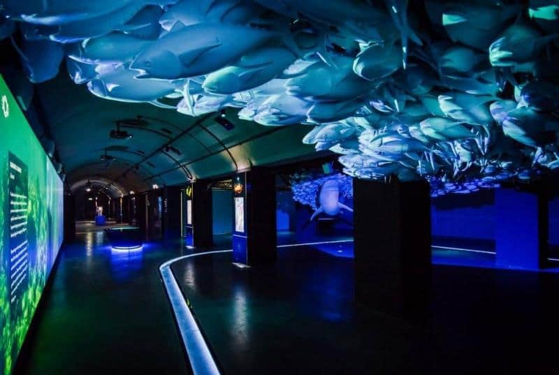 oryg_064490685_1129949550544944_1465385417682452480_o Indoor corridor with blue lighting, walls lined with display panels, and a ceiling adorned with illuminated fish sculptures.