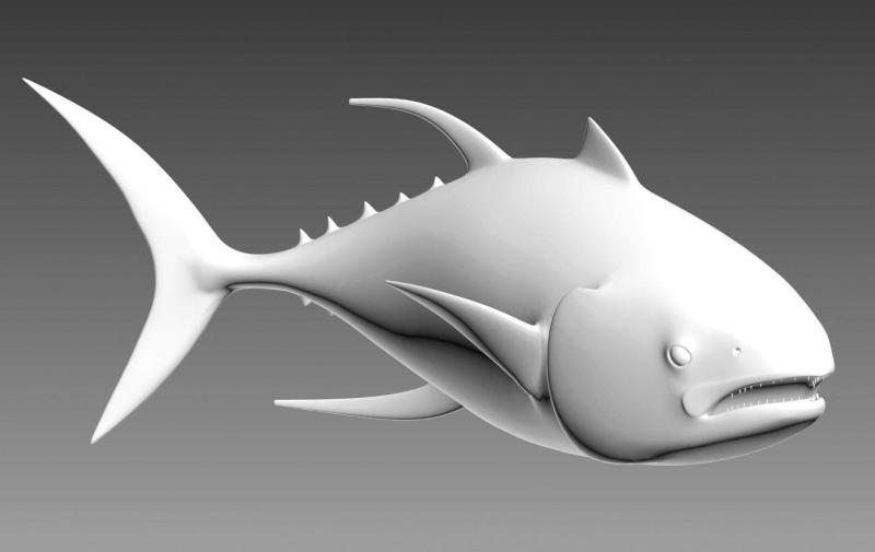 School of Tuna 2 Model 3D ryby z wyraźnymi płetwami i otwartymi ustami na szarym tle.