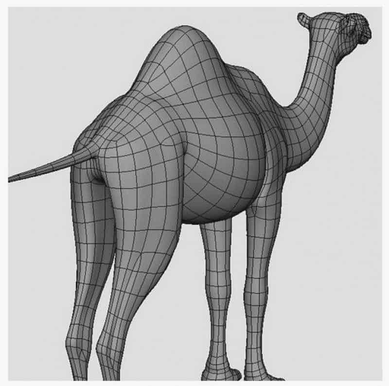 Caravan of Camels 3 Model 3D wielbłąda bez tekstur.