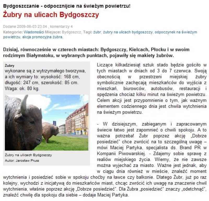 Żubr beer advertising figures 2 Żubry na ulicach Bydgoszczy, w Kielcach, Płocku i Białymstoku. Makiety żubrów zachęcają mieszkańców do wypoczynku na świeżym powietrzu.