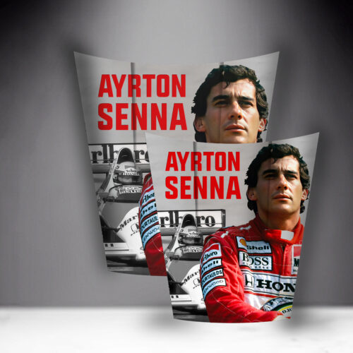 Two posters of a race car driver in a red racing suit with the name 