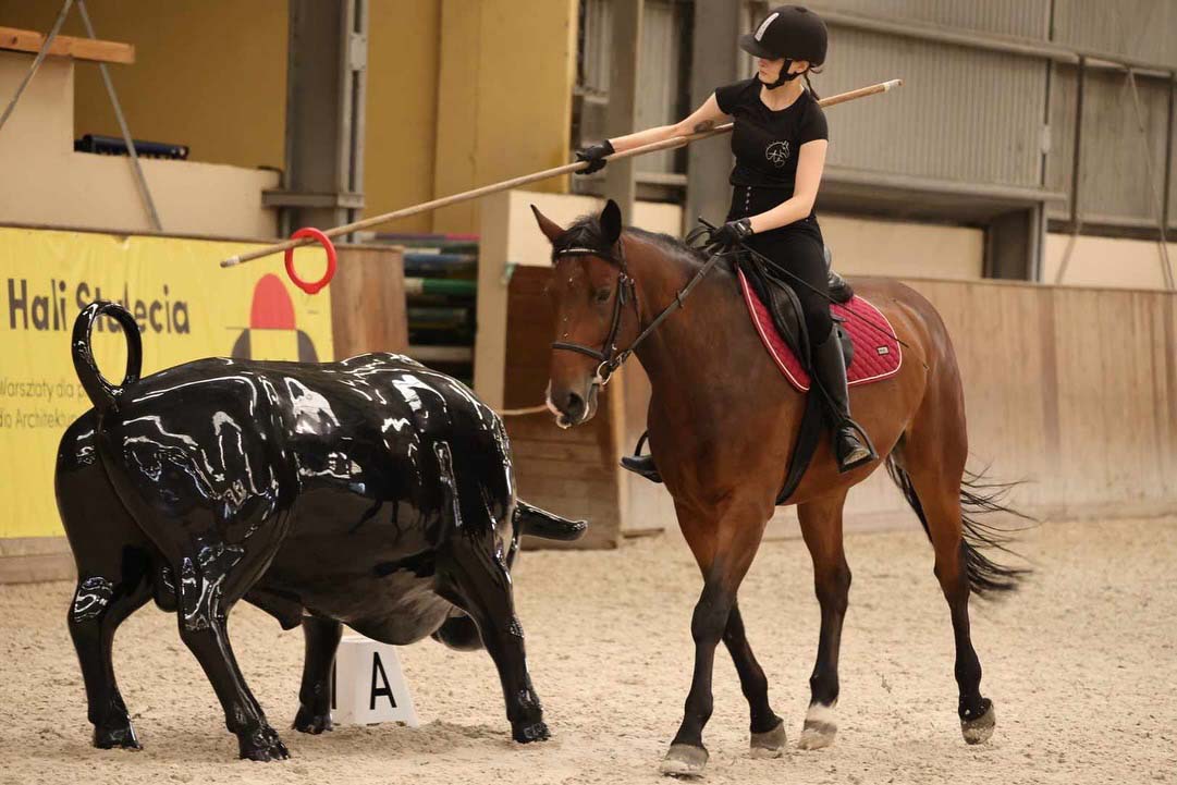 A person riding a horse indoors and attempting to place a ring over a post on a black artificial bull using a lance.