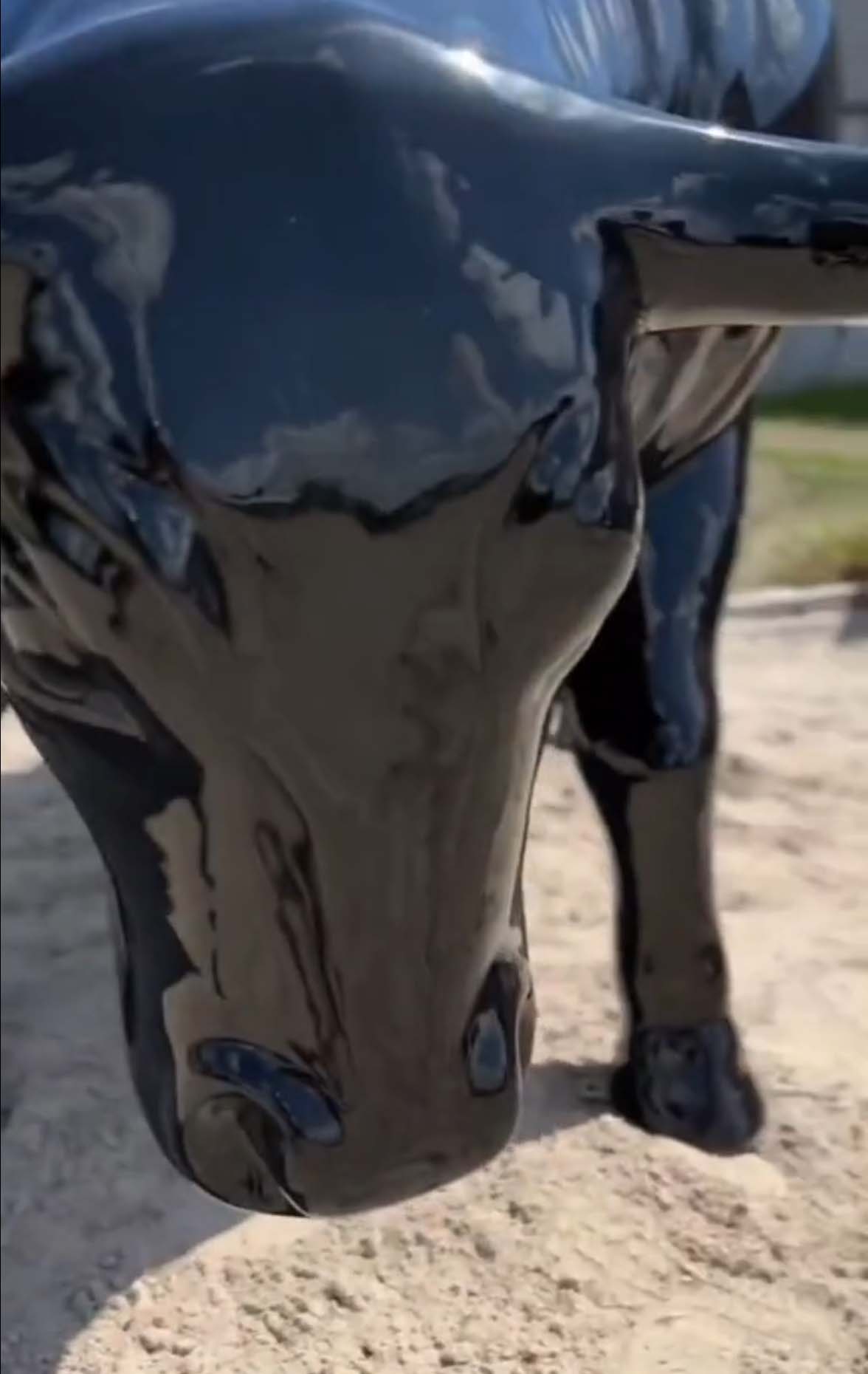 Zbliżenie na głowę błyszczącej, czarnej rzeźby byka.