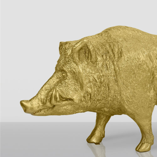 Golden wild boar statue on a reflective surface.